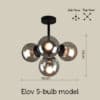 Elov-5-bulb-model