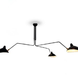 Pondskater Ceiling Lamp -front view