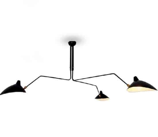 Pondskater Ceiling Lamp -front view