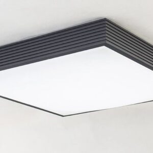 ridge square case ceiling lamp - black 2