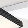 ridge square case ceiling lamp - black and white details