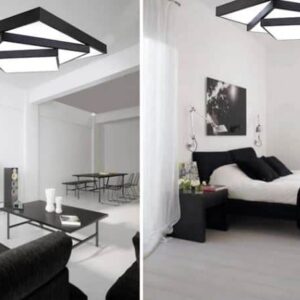 rose in my dreams - black 2