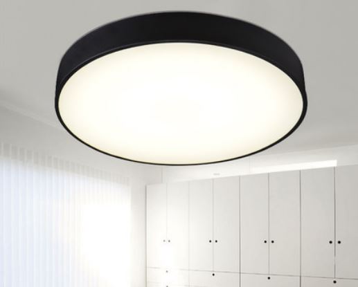 Aubergine ceiling light