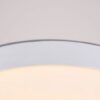 Cheesecake Ceiling Lamp-details