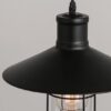 Ellaby bird cage lighting details