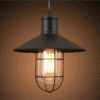 Ellaby bird cage hanging lights