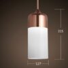 Chrome Top Hanging Lamp- Tall Measurement 1