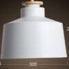 Fortress Base Hanging Lamp- Large Measurement