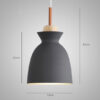 AGNETHA-Inverted-Bowl-Like-Suspension-Lamp---tall-dome-dimensions
