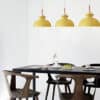 Inverted Bowl-Like Suspension Lamp - Dining Room