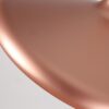 Bunsenn Lab Pendant Lamps copper closeup