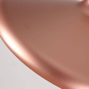 Bunsenn Lab Pendant Lamps copper closeup