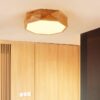 Havano Wooden Geometry Octagon Ceiling Lamp walkin waredrobe lamp