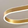 Whistella Grandeur Loop Oval Ring Pendant Lamp - Material 2
