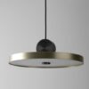 Davidso Coppertone Pendant Lamps-flat disk