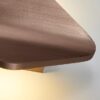 Cassafer Modern Flapped Wings Wall Lamp details coffee