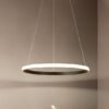 Lanuka Modern Minimalist Round Ring Pendant Lamp Family room lights