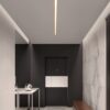 Reetahnna Slim Rectangular Linear Ceiling Lamp entrance lighting