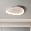 Wisdomegg Irregular Shape Ceiling Lamp