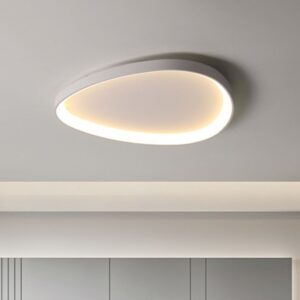 Wisdomegg Irregular Shape Ceiling Lamp