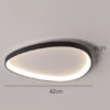 Wisdomegg Irregular Shape Ceiling Lamp black