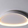 Wisdomegg Irregular Shape Ceiling Lamp closeup