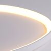 Wisdomegg Irregular Shape Ceiling Lamp closeup inner