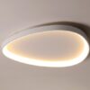 Wisdomegg Irregular Shape Ceiling Lamp warm