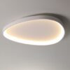 Wisdomegg Irregular Shape Ceiling Lamps