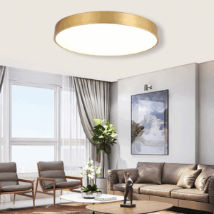 Livoana Modern Round and Slim Ceiling Lamp - office ceiling lamp