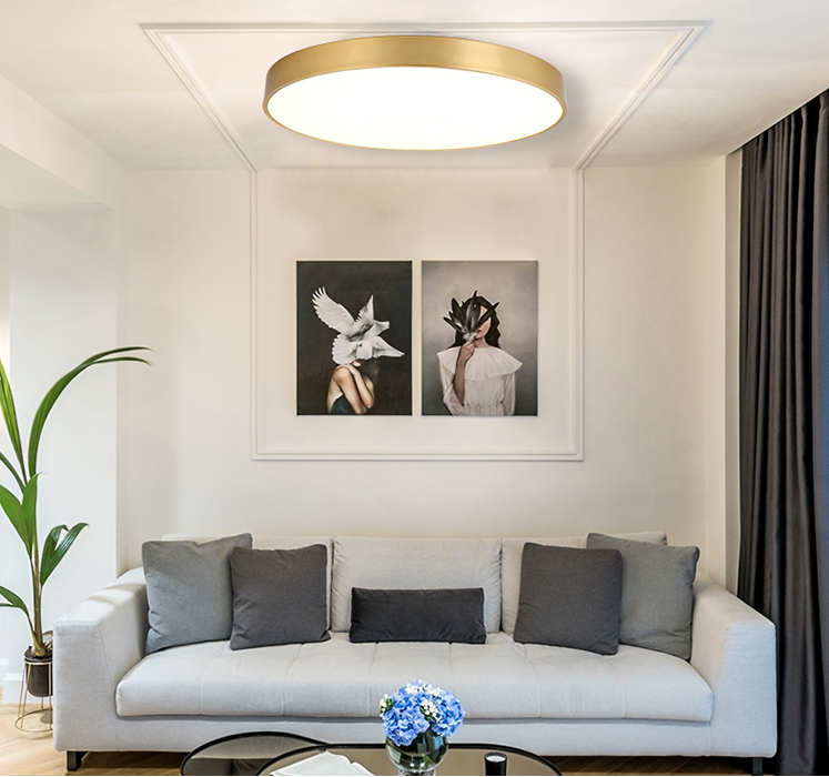 Livoana Modern Round and Slim Ceiling Lamp Livoana Modern Round and Slim Ceiling Lamp - studio ceiling lamp