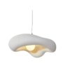 Luddevig Wabi-Sabi Organic Nature Mould Pendant Lamp - resin pendant lamp