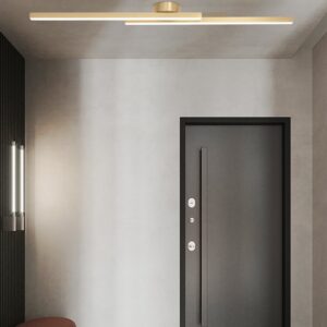 Torhild Twin Rectangular Ceiling Lamp - door front ceiling lamp