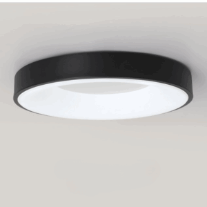 Round Shape Ceiling Light - Black Light