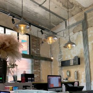Industrial Cage Dome Pendant Light - Cafe Light