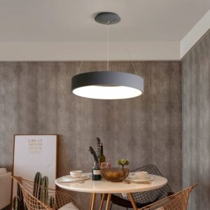 Round Ring Pendant Light - cafe light