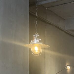 Tumerook Industrial Cage Pendant Light