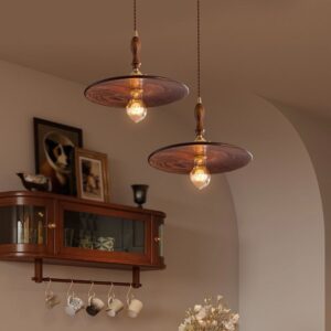 Nuvrix Edison Plate Pendant Light - Hallway Light